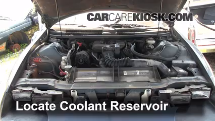 1996 Chevrolet Camaro: Coolant flush - dealer quote seems high