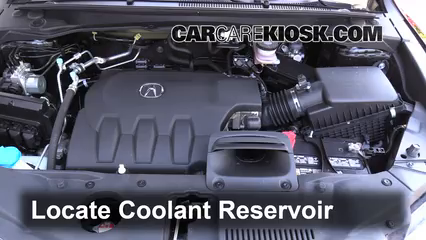 acura engine coolant  | 1000 x 830