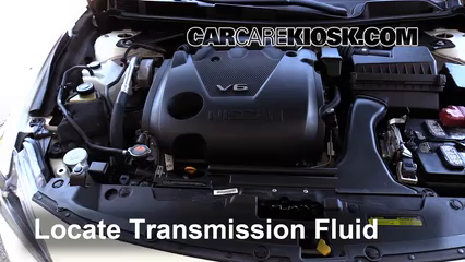 Add Transmission Fluid: 2016-2016 Nissan Maxima - 2016 Nissan Maxima SR